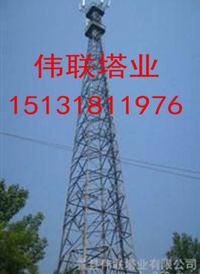 避雷塔防雷塔电视塔避雷针塔 景县伟联塔业的高清细节解析